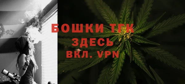 ECSTASY Медногорск