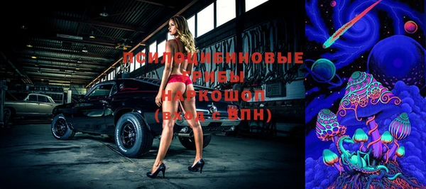 ECSTASY Медногорск