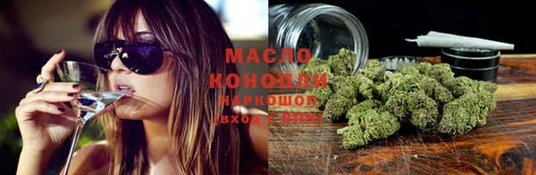 молекула духа Медвежьегорск