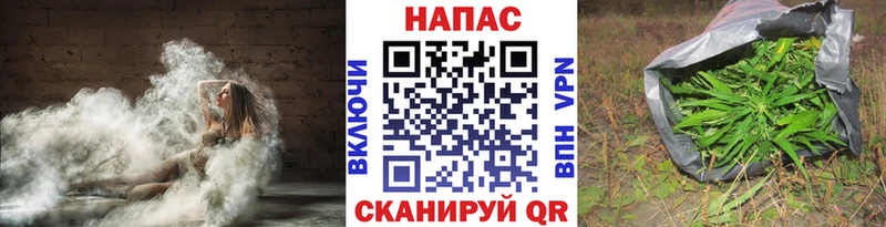 Бошки Шишки гибрид  Талица 